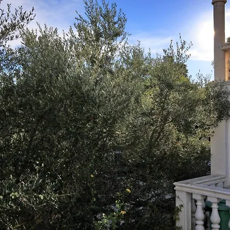 Daire Apartments By The Sea Cove Mikulina Luka, Korcula - 9181 Vela Luka